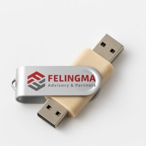 USB Felingma 16GB con E-book